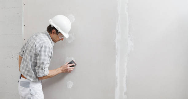 Best Attic Mold Removal  in Iyanbito, NM