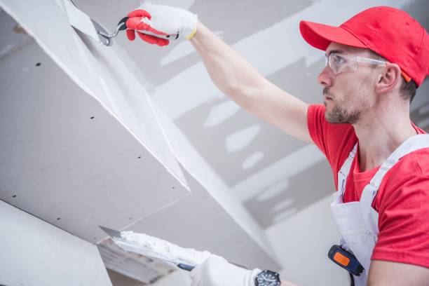 Best Post-Construction Mold Inspection  in Iyanbito, NM